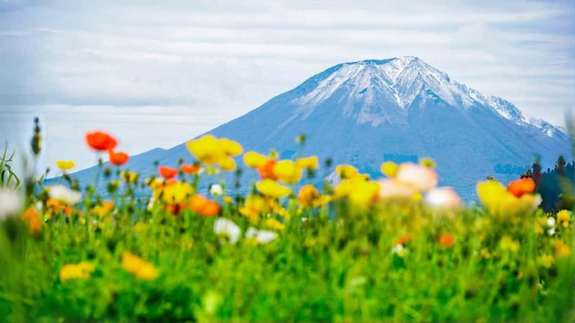 Tokyo: Mount Fuji 5th Station & Onsen Day Trip - At a glance