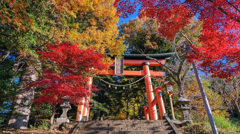 Tokyo: Mount Fuji 5th Station & Onsen Day Trip - Walking around Oshino Hakkai