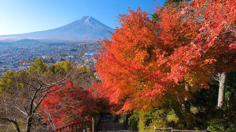 Tokyo: Mount Fuji 5th Station & Onsen Day Trip - Bus travel, crowds, and timing