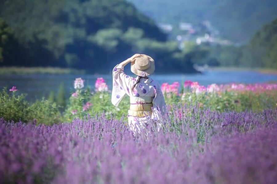 Tokyo: Mt Fuji Lake Kawaguchi & Yamanaka Hot Spring Day Tour - Oshino Hakkai and its spring-fed ponds