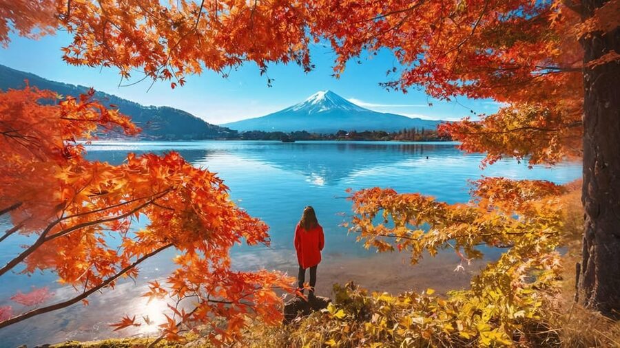 Tokyo: Mt Fuji Lake Kawaguchi & Yamanaka Hot Spring Day Tour - Should you book this Fuji day tour?