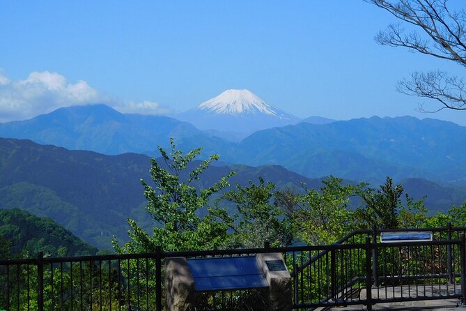 Tokyo: Mt Takao Tour with Ramen and Tattoo-Okay Hot Spring - Why Mt. Takao makes a good Tokyo escape
