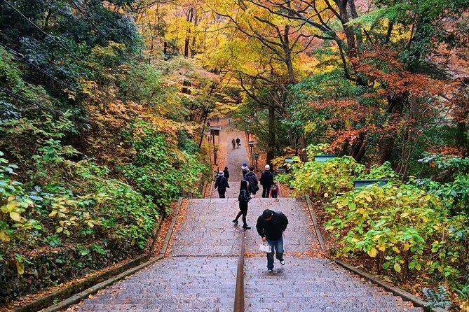 Tokyo: Mt Takao Tour with Ramen and Tattoo-Okay Hot Spring - Riding above the trees on Mt. Takao