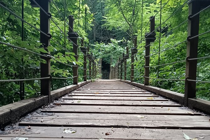 Tokyo: Mt Takao Tour with Ramen and Tattoo-Okay Hot Spring - Monkeys, flowers, and a mountain path