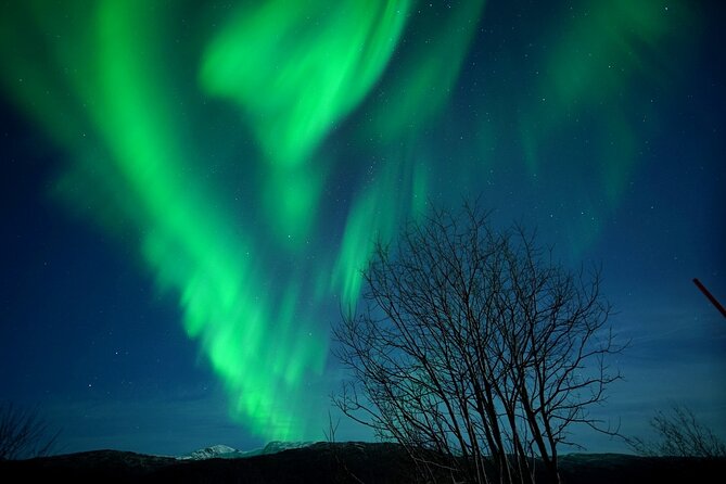 Tromso Aurora Chase by Minibus with Thermal Suit, Snack and Photo - What the first Tromsø departure feels like