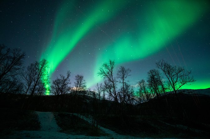 Tromso Aurora Chase by Minibus with Thermal Suit, Snack and Photo - The real value at $189.25