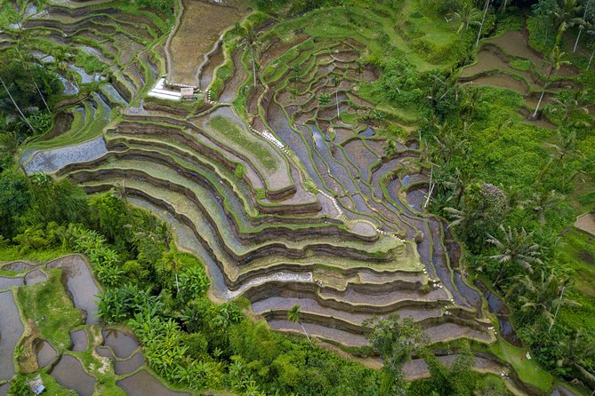 Ubud Volcano Lake and Natural Hot Spring Tour - Tegenungan Waterfall: a strong finish with real walking