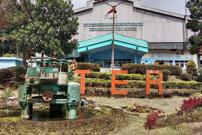 Volcano, Hot Spring, Tea Factory, rice fields and Coffee Tour - A full day from Jakarta into West Java