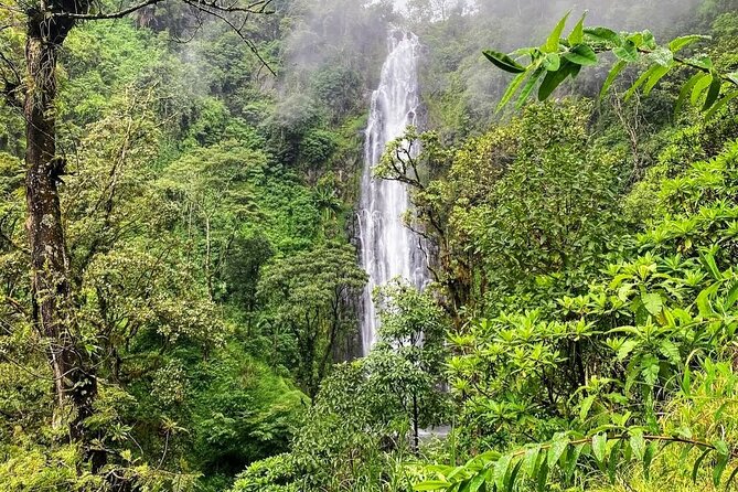 Waterfall, coffee tour & hot springs - lunch and drinks included - A closer look at the guide service