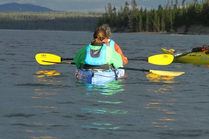Yellowstone Lake & Hot Springs / 3 Hour Morning or Twilight Tour - Planning the rest of your Yellowstone day